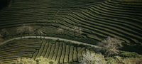 Azores, Furnas & Nordeste Volcano Full-Day Tour with Lunch - Housity