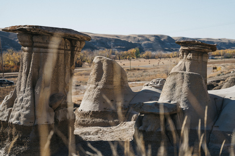 1 Day Drumheller Tour: Calgary to Hoodoos Dinosaurs Badlands 1 Day Private Customizable Drumheller Tour: Calgary Badlands