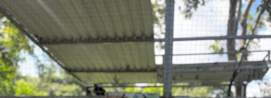 Visite privée du parc des paresseux et des singes à Roatan avec prise en charge