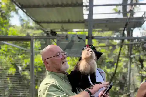 Sloth and Monkey Park Private Tour at Roatan with Pickup