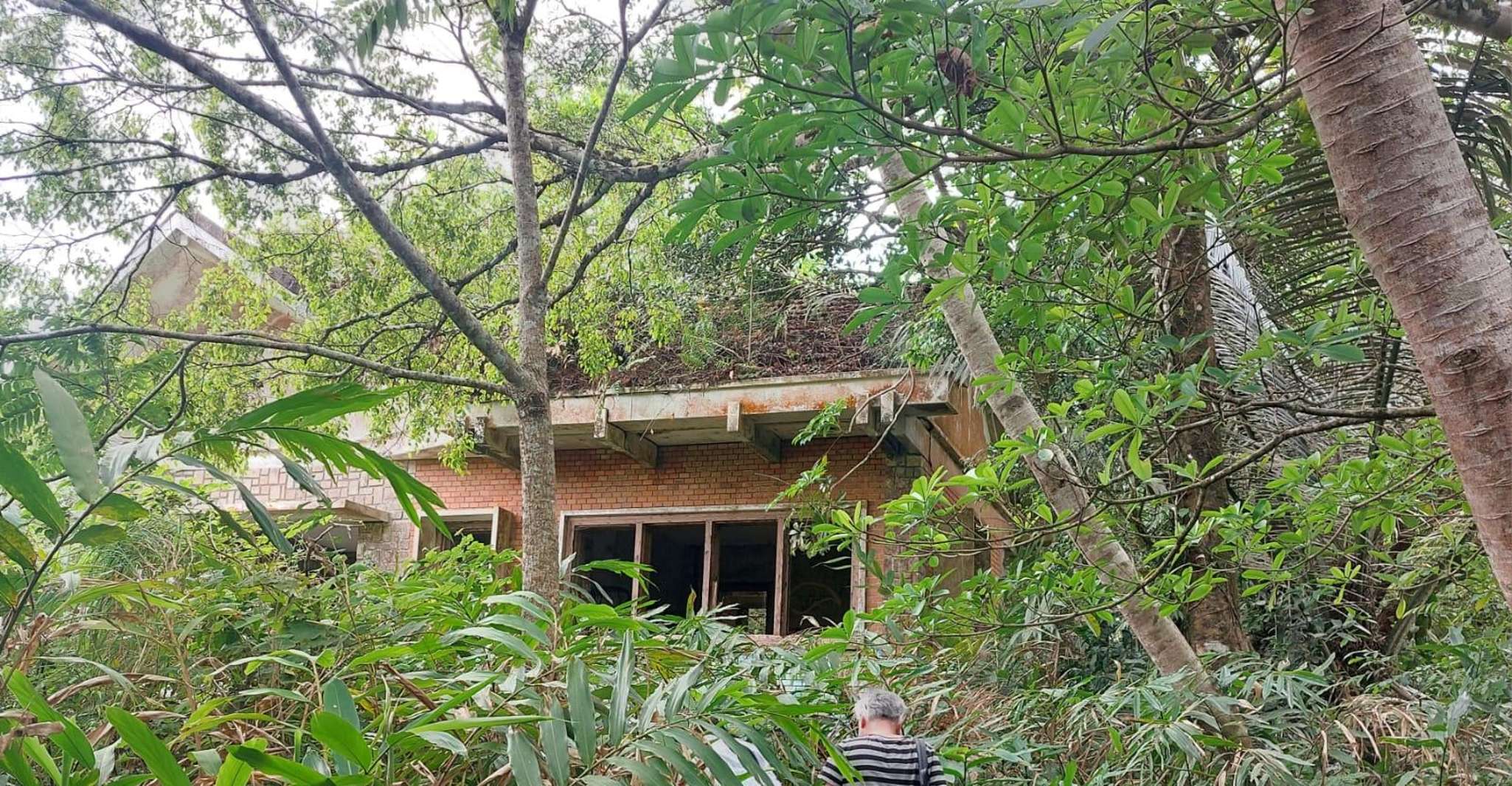 Bokor Nationalpark tours, inclusief overvloed aan gebouwen - Hizvo