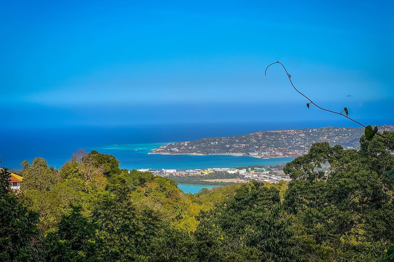 Rockland Bird Sanctuary Private TourFrom Montego Bay