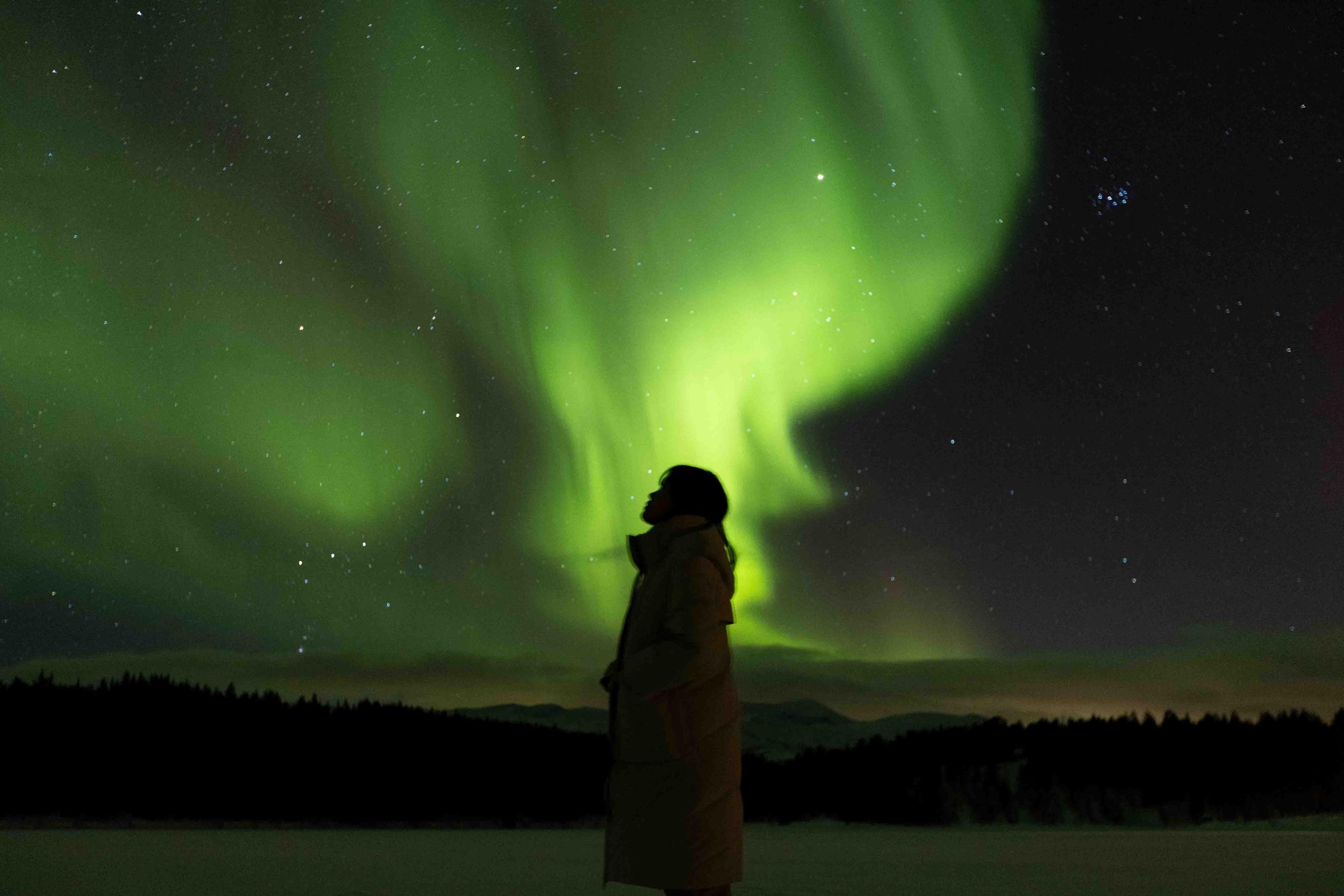Tromsø: Nordlichter-Tour mit Abendessen und einheimischem Guide