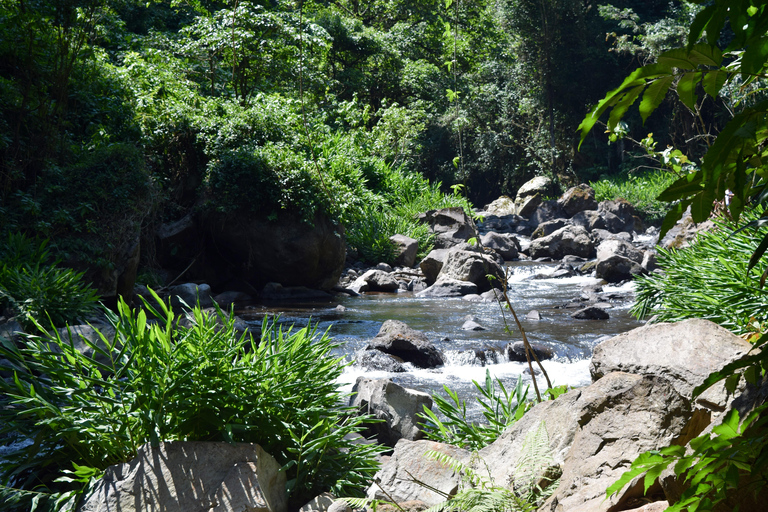 Moshi: Pernoita na aldeia de Chagga com opções para o segundo diaPasseio de um dia à aldeia Chagga e ao Kilimanjaro
