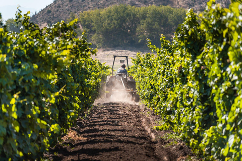 Viña Haras de Pirque Wine Experience