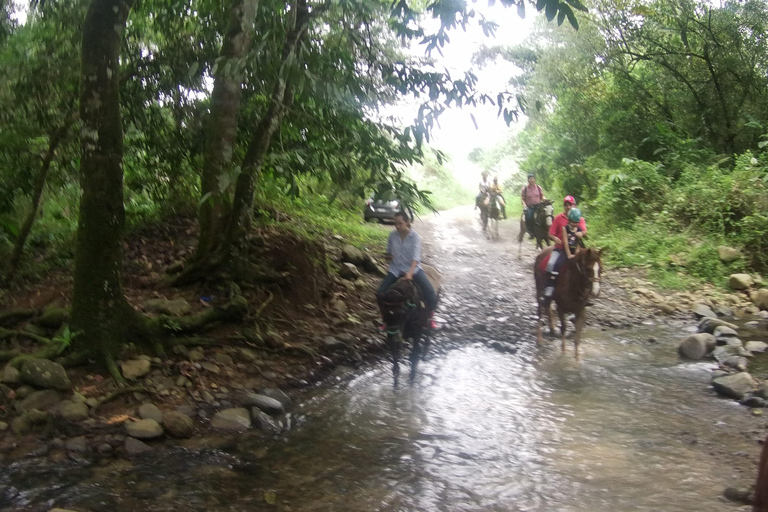 Reiten im Dschungel bei Panama City