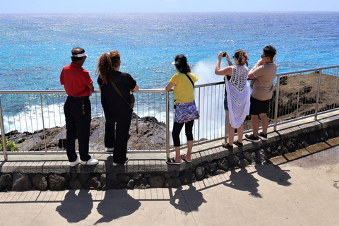 Oahu: Honolulu Scenic Points and Lookouts Stunning Views