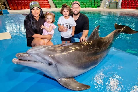 Dubai Dolphinarium: VIP Dolphin & Seal Show with GMC Yukon