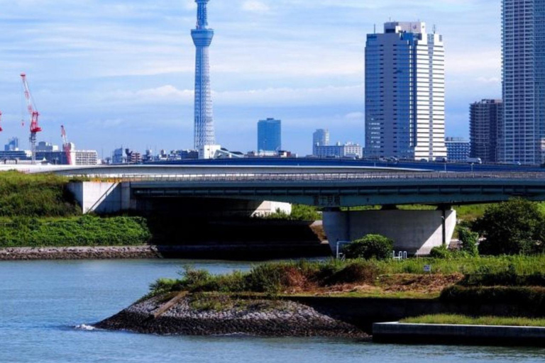 Tour privado de la ciudad de Tokio personalizado con conductor de habla inglesa