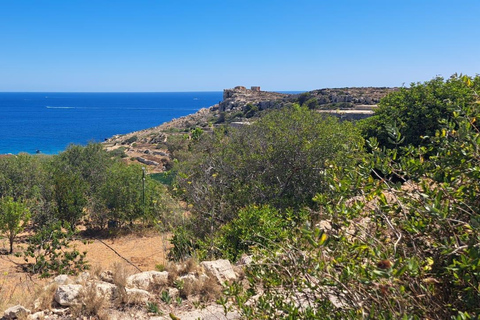 North Malta: Quad Bike Tour with Scenic Land, Sea & Swimming North Malta: Quad Bike Tour with Scenic Land, Sea & Swimming
