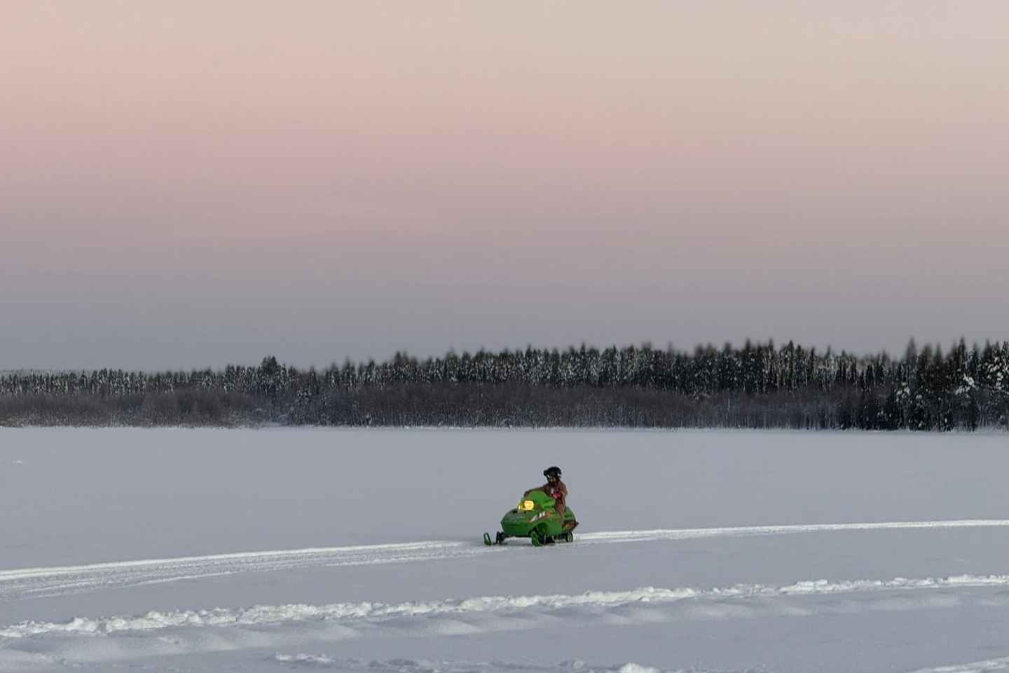 Levi: Villtaðferðardagsferð fyrir fjölskyldur með hótelafhendingu