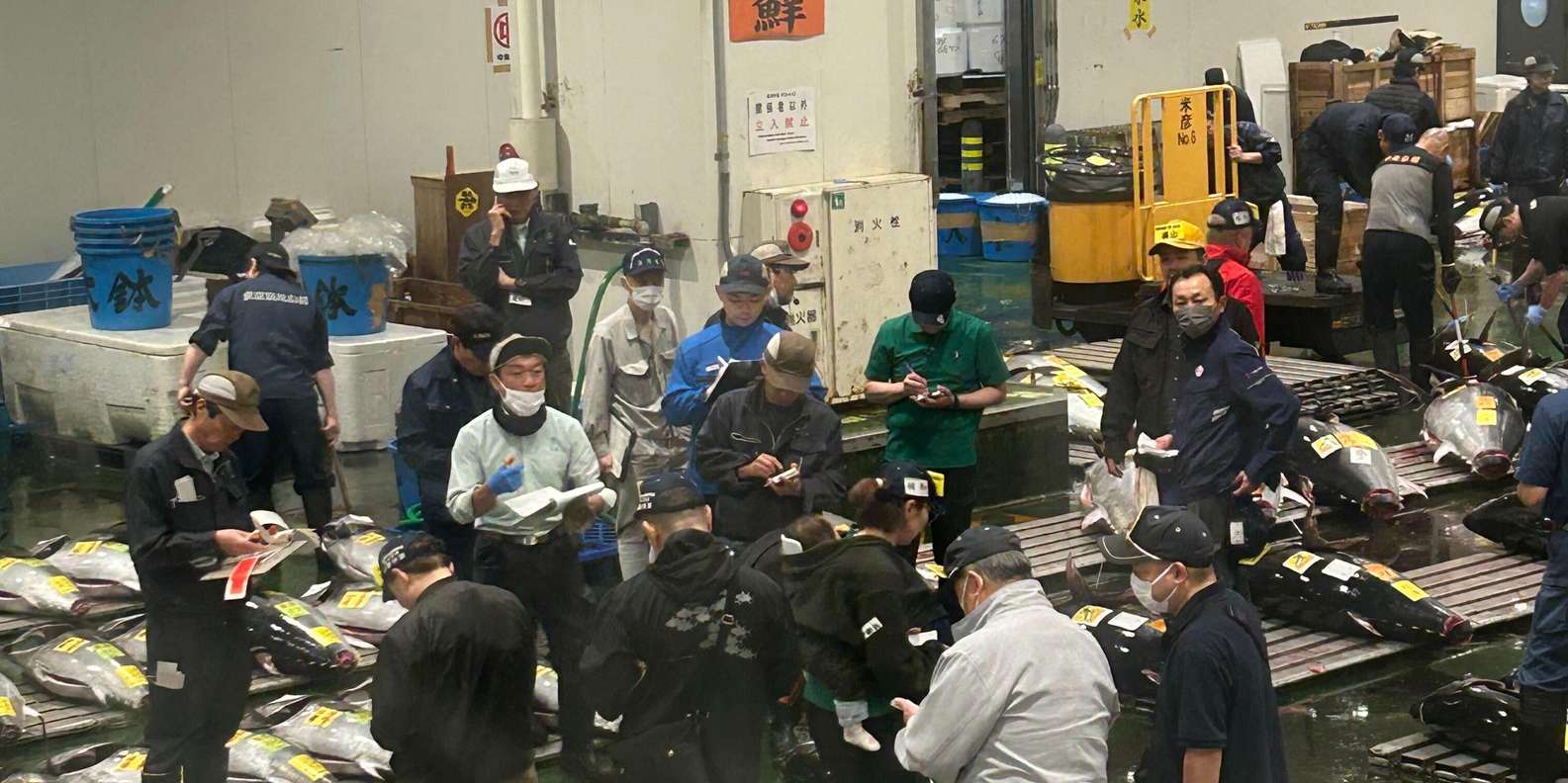 Tokyo tuna auction tour — Toyosu bluefin auction, hand signals, Sushi Dai breakfast — image 5