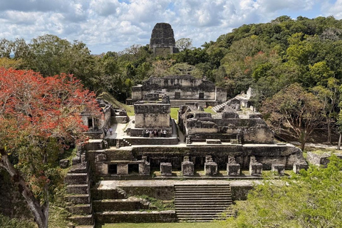 From San Ignacio: Tikal National Park Day Trip with Lunch
