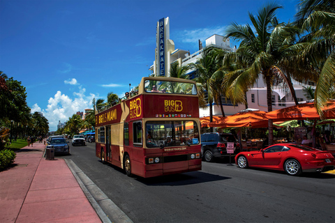 Miami: Avventura nelle Everglades e Tour in autobus Hop-on Hop-offMiami: Esperienza delle Everglades e tour di 1 giorno in autobus Hop-on Hop-off