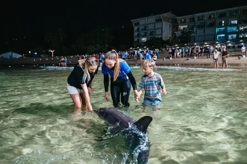 Moreton Island: Tangalooma Desert Safari and Dolphin Feeding