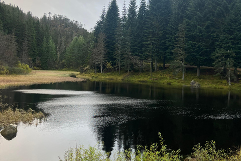 Bergen: Guided Nature Walk with Optional Floating Sauna Espanol