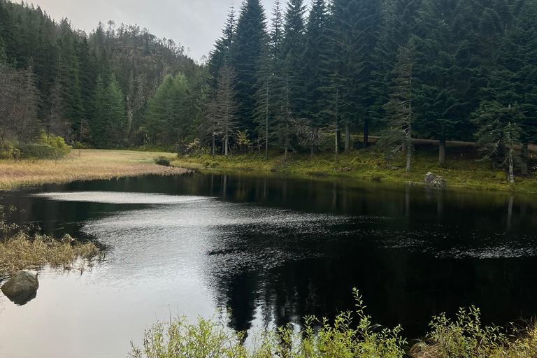 Bergen: Guided Nature Walk with Optional Floating Sauna Espanol