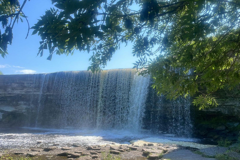 From Tallinn: Wild Swimming Trip with 4 Natural Waters