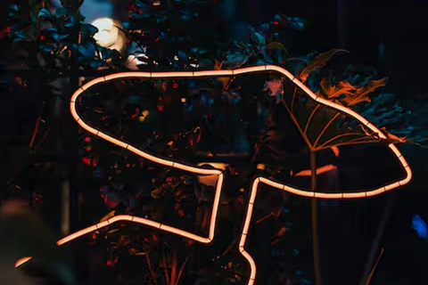 Bogotá: tour serale di Chapinero con cocktailBogotá: tour serale a Chapinero con cocktail