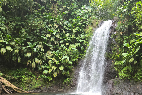 4x4 Land Rover day trip with Fanm Sosyal Kréyol in Guadeloupe Half-Day