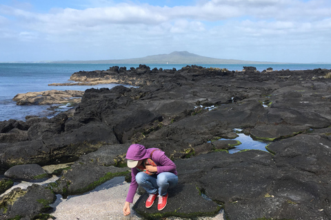 Auckland Volcanoes Full-Day Small Group Tour