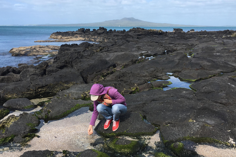 Auckland Volcanoes Full-Day Small Group Tour