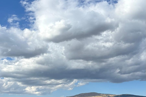 Livno: Guided Wild Horses Tour with Local Aperitif