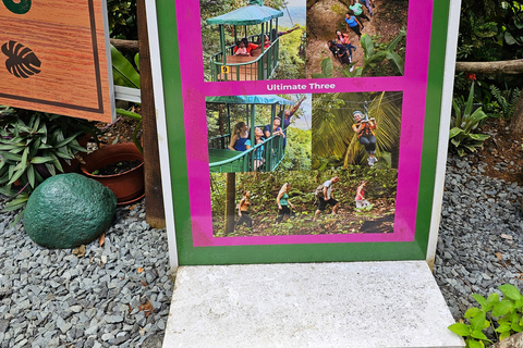 St. Lucia: Zipline Adventure Cruise Port and Hotel Pickup