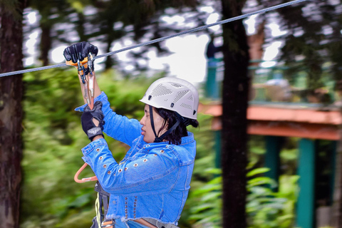 Nairobi: Paragliding and Kereita Forest Zipline Day Trip