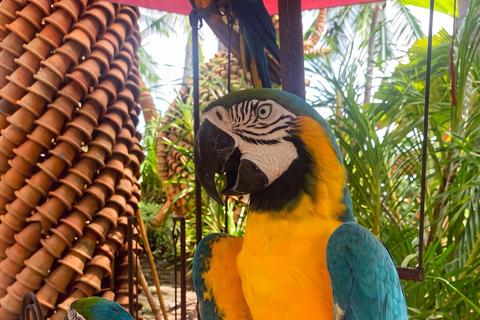 Private Nong Nooch Garden Tour: Lunch, shows & Dinosaurs