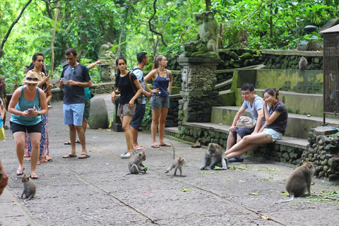 Ubud: Foresta delle scimmie, terrazzamenti di riso e tour delle cascate