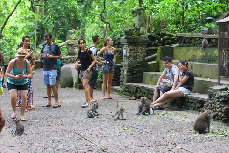 Ubud: Foresta delle scimmie, terrazzamenti di riso e tour delle cascate