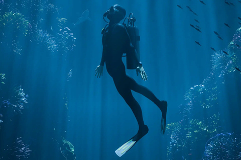 Alicante: scopri le immersioni subacqueeAlicante: scopri l'esperienza di immersione subacquea