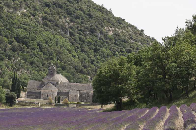 De Avignon: viagem de um dia às vilas de lavanda