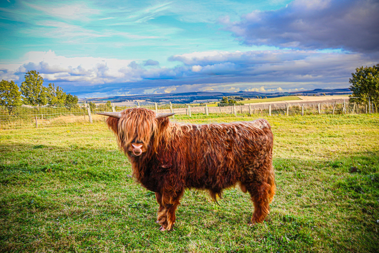 Capture Your Scottish Adventure – Professional Photography