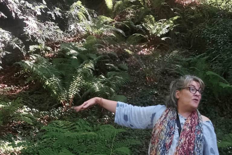Wexford: Explore an Ancient Woodland with an Irish Witch