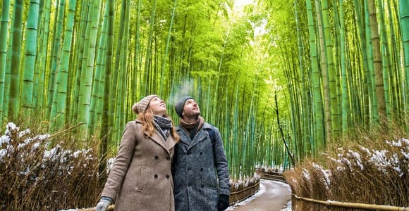 Kyoto: Arashiyama Unveiled – Bamboo, Temple, Matcha, Monkeys