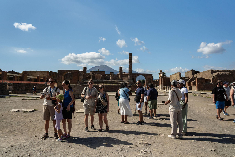 From Naples: Pompeii Shore Excursion for Cruisers with Guide From Pompeii: Guided Tour + Entry Ticket