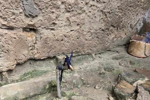 Pemba Island: Mjini Ole Village Tour with lunch