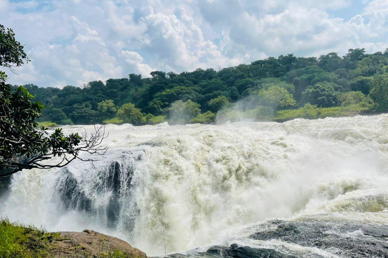 Uganda: Excursão de 7 dias a Kampala e Jinja, safári nas Cataratas MurchisonUganda: Excursão de 7 dias a Kampala e Jinja, Safári nas Cataratas Murchison