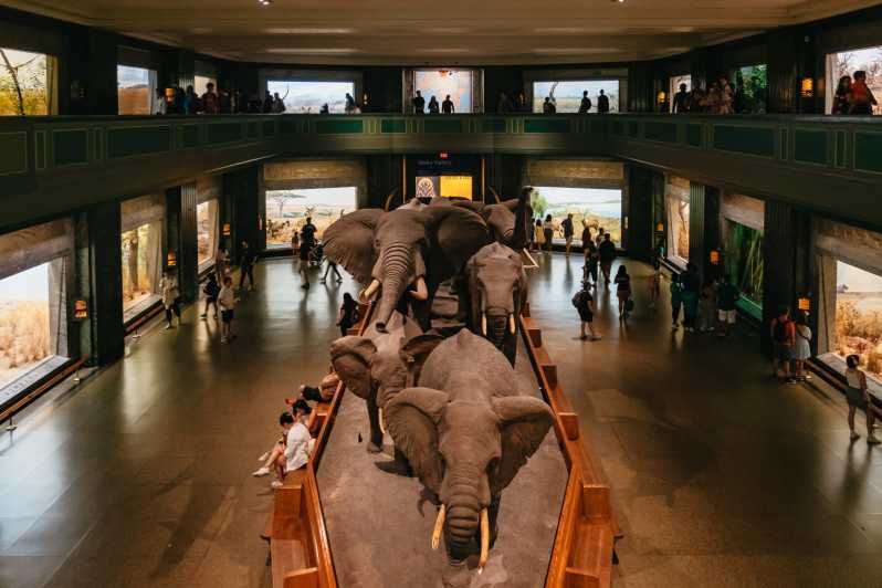 New York City: Biljett till American Museum of Natural History