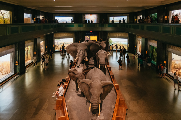 Ciudad de Nueva York Entrada al Museo Americano de Historia NaturalEntrada general y 1 ticket de entrada a la exposición