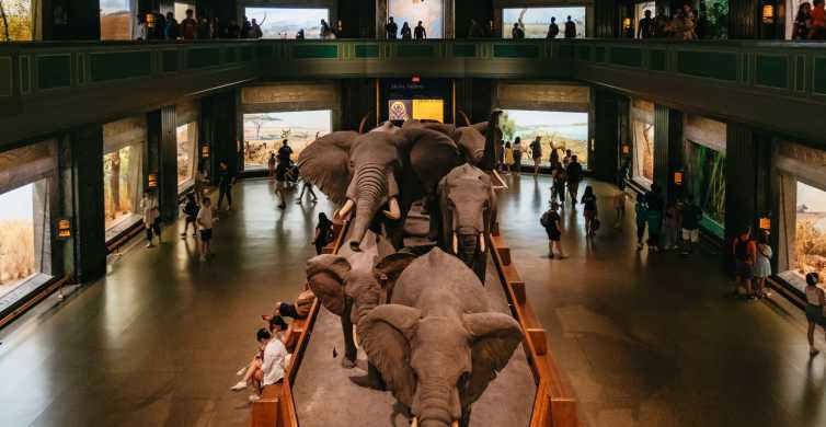 Нью-Йорк: квиток в Американський музей природної історії
