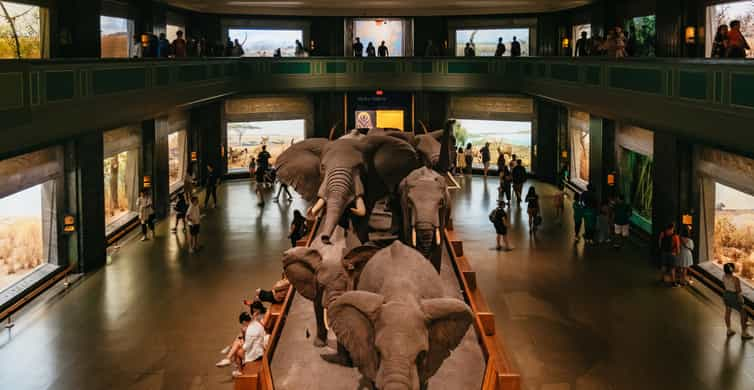 New York City: American Museum of Natural History Ticket