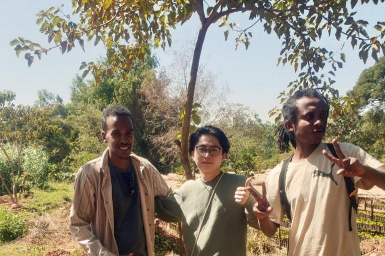 Capital Chronicles: A Full-Day Addis Ababa Experience