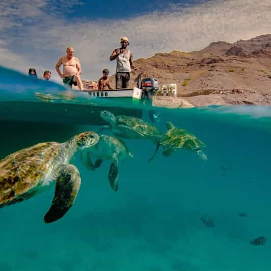 Mindelo: Swim and Snorkel with Sea Turtles