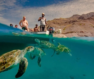 Mindelo: Esperienza con le tartarughe marine