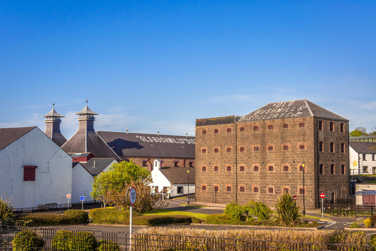 Dublin: Belfast (walking tour), Bushmills & Giant's Causeway