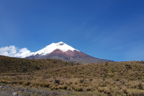 Cotopaxi National Park and Papallacta Hot Springs Private Tour