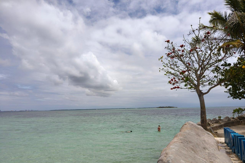 Cebu Nalusuan Island & Marine Sanctuary | Joiners Tour Nalusuan Island Tour